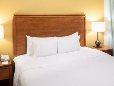 Hotel Homewood By Hilton Irving-dfw Airport Irving